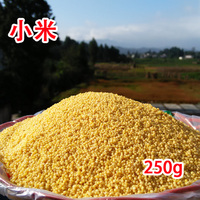 农家有机黄小米 月子米 小黄米 宝宝米 250g无化肥农药