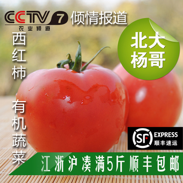 北大杨哥外交官新鲜采摘绿色生态无公害蔬菜无催红催熟西红柿番茄