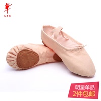 红舞鞋芭蕾舞蹈鞋软底练功鞋男女成人幼儿童帆布形体猫爪跳舞鞋夏