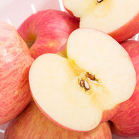 烟台红富士苹果山东栖霞特产有机水果孕妇孩子吃的80苹果10斤包邮