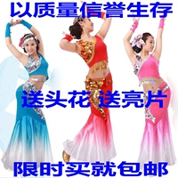 新款特价傣族舞蹈演出服饰女装舞台表演民族服装秧歌服装孔雀舞服