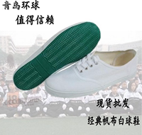 青岛环球白球鞋白色帆布鞋小白鞋舞蹈鞋白布鞋白网鞋男女童武术鞋
