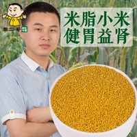 秦二哥黄小米新米农家自产有机月子米宝宝米陕北米脂小黄米3斤
