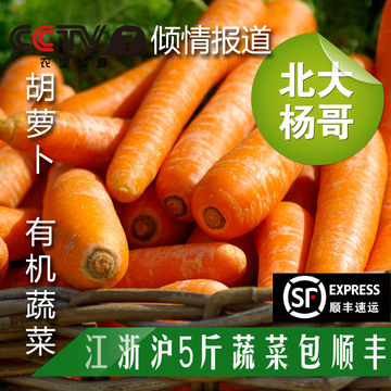 北大杨哥 新鲜有机种植无公害蔬菜保鲜包装胡萝卜