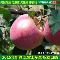 山东青岛自家产新鲜苹果同烟台栖霞红富士有机苹果85#5斤批发包邮