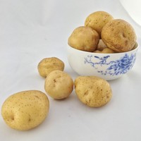 2015新鲜黄心小土豆马铃薯三峡农家肥有机土豆马尔科散装5斤包邮