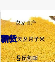 14新沂蒙山区自产有机 黄小米 月子米 小黄米  无化肥农药5斤包邮
