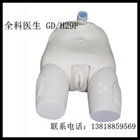 正品全科医生 GD/H29F 高级女性膀胱穿刺模型 上海弘联医学模型