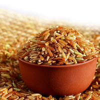 东北新米粗粮五谷红米优质红糙米补血米有机农家红稻米 2斤包邮