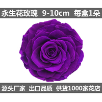 巨型七彩玫瑰保鲜花干花永生花礼盒配材进口永生花材批发 9-10cm