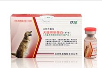 北京铁草重组犬瘟抑制蛋白 犬瘟最好的注射蛋白血清单抗 单支
