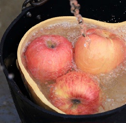 烟台苹果农家纯天然有机特产正宗栖霞红富士85精品大鲜果10个包邮