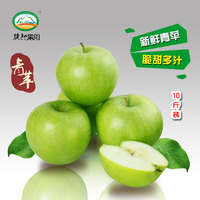 礼县青苹果 现摘现发新鲜脆酸甜孕妇开胃榨汁水果10斤包邮吃的