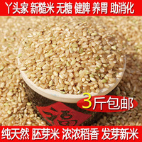 新糙米沂蒙山区大米有机糙米有机胚芽营养大米 绿色养胃包邮250g
