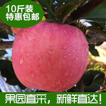 陕西苹果水果新鲜水果洛川红富士有机10斤80mm无农药批发全国包邮