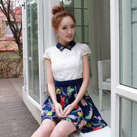 2015韩版女装春夏季新款短袖蕾丝连衣裙子钉珠翻领可爱胖MM有大码
