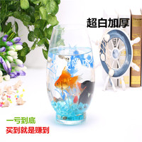 透明玻璃瓶 龙蛋金鱼缸 椭圆形迷你缸 生态热带鱼缸 绿萝水培花瓶