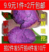新鲜蔬菜 紫心番薯 紫心红薯越南紫薯地瓜农家自种黑薯2斤装包邮