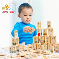 木丸子儿童积木多米诺骨牌 双面汉字木制积木 益智玩具