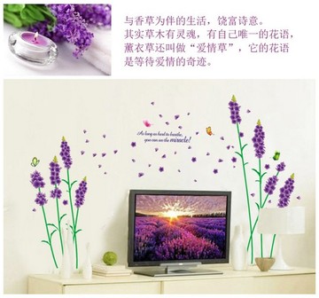 康馨 紫色浪漫蒲公英卧室客厅橱窗玻璃衣柜壁纸贴花 多款选择