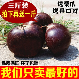 2015新鲜生农家特产信阳板栗1500g包邮毛栗子非野生油栗零食坚果