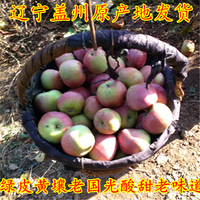 新鲜苹果水果辽宁盖州绿皮黄壤老国光苹果包邮正宗国光苹果八斤
