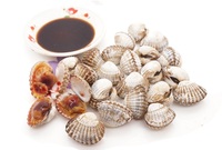 三门本地小海鲜水产血蛤银蛤赤贝鲜活 500克X2份装冬季刷火锅食材