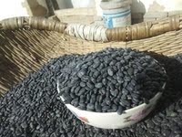 甘肃山区老品种黑豆 农家自产黑小豆 肾形非转基因老种子有霜