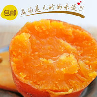 贵州特产农家自产红薯新鲜直达 香甜软糯 洗净后可生吃地萝卜