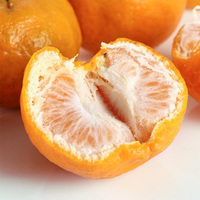 福建特产永春芦柑 橘子新鲜水果 甜柑橘桔子水果5斤装
