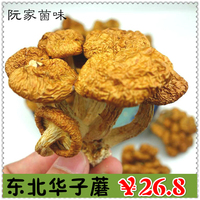 滑子菇干货 珍珠菇 小鸡黄蘑菇 东北特产滑子蘑菇 2件包邮 200g