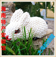 江浙沪皖包邮海南工艺天然海螺贝壳动物十二生肖兔子创意礼品礼物