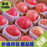山东烟台栖霞特产新鲜红富士苹果原生态带皮吃水果85礼盒装包邮