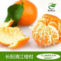 柑子清江椪柑芦柑橘子蜜橘桔子新鲜水果湖北宜昌特产8斤包邮