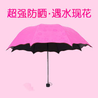 创意遇水开花太阳伞女士三折伞黑胶折叠遮阳伞公主防晒晴雨伞