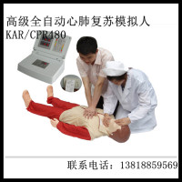 高级自动电脑心肺复苏模拟人 KAR/CPR480 KAR/CPR4型 上海康人