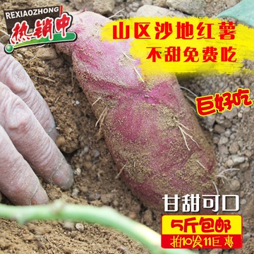 新鲜红薯地瓜番薯沂蒙山区沙地绿色有机红薯粗粮养生必备5斤包邮
