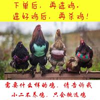 过年鸡贵州正宗农家散养土鸡新鲜竹林本鸡草鸡母鸡走地鸡年货年味