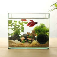 小缸生态鱼缸造景套餐桌面金鱼缸森森水族箱玻璃乌龟缸小型水草缸