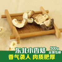 【淞都特选】精选东北野生小香菇干货 椴木金钱菇蘑菇 包邮 500g