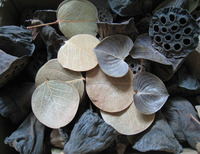 拍摄拍照道具ZAKKA摆设森林系天然干花材料进口巴西心形圆树叶子