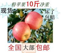 陕西苹果吃的面苹果粉苹果 新鲜水果宝宝婴儿吃的粉苹果28省包邮