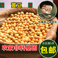 老班长 豆浆专用 非转基因/纯天然农家 纯自种有机小黄豆芽500g
