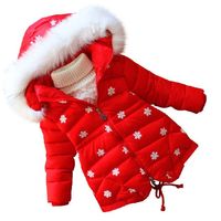 童装女童冬装棉衣2015新款棉袄儿童韩版棉服中童加厚小童外套D38
