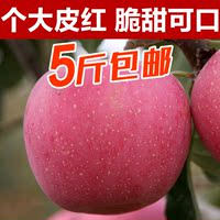 【林家鲜果园】正宗山东特产新鲜苹果 烟台有机红富士水果5斤包邮