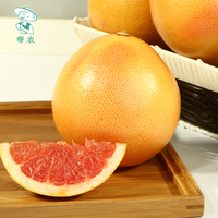 【帮农】 南非特大葡萄柚西柚6个 新鲜水果柚子 单果重约400g