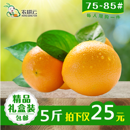 新鲜水果 多汁 金堂脐橙 橙子5斤家庭装小果包邮绿色种植现摘现发