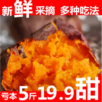 特价19.9包邮/5斤新鲜特级大红薯农家自种烤地瓜番薯地瓜