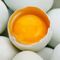 【177947】正宗新鲜纯天然绿壳鸡蛋农家散养有机乌鸡蛋土鸡蛋15枚