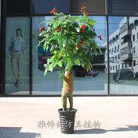 人参果树特价仿真植物树假花盆栽景落地装饰品塑料假树1.6米